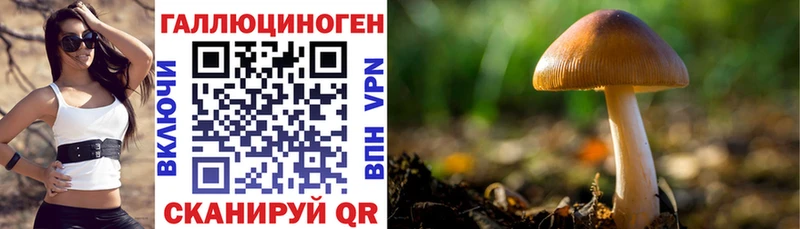 Галлюциногенные грибы мицелий  Западная Двина 