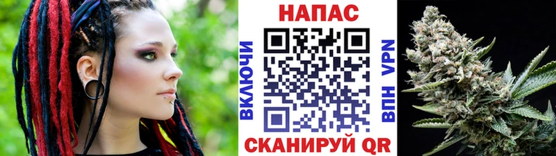 купить наркотики цена  Западная Двина  Шишки марихуана тримм 